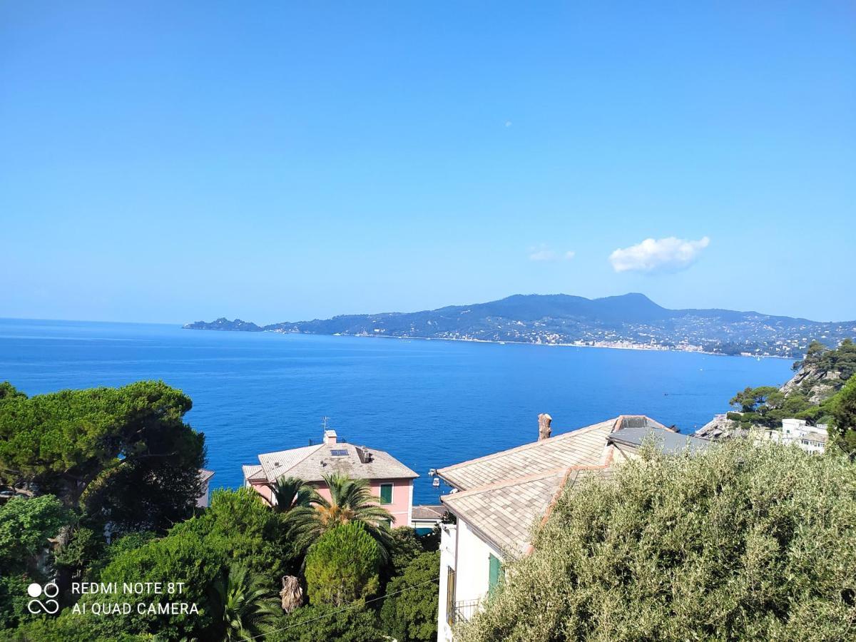 Vacanze Al Mare - Holiday At The Seaside Zoagli Bagian luar foto